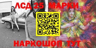 крисы Моздок