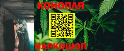 крисы Моздок