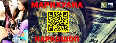 крисы Моздок