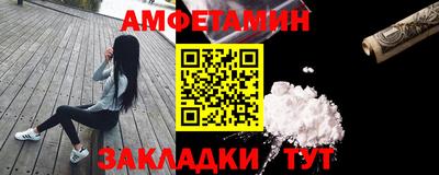 крисы Моздок