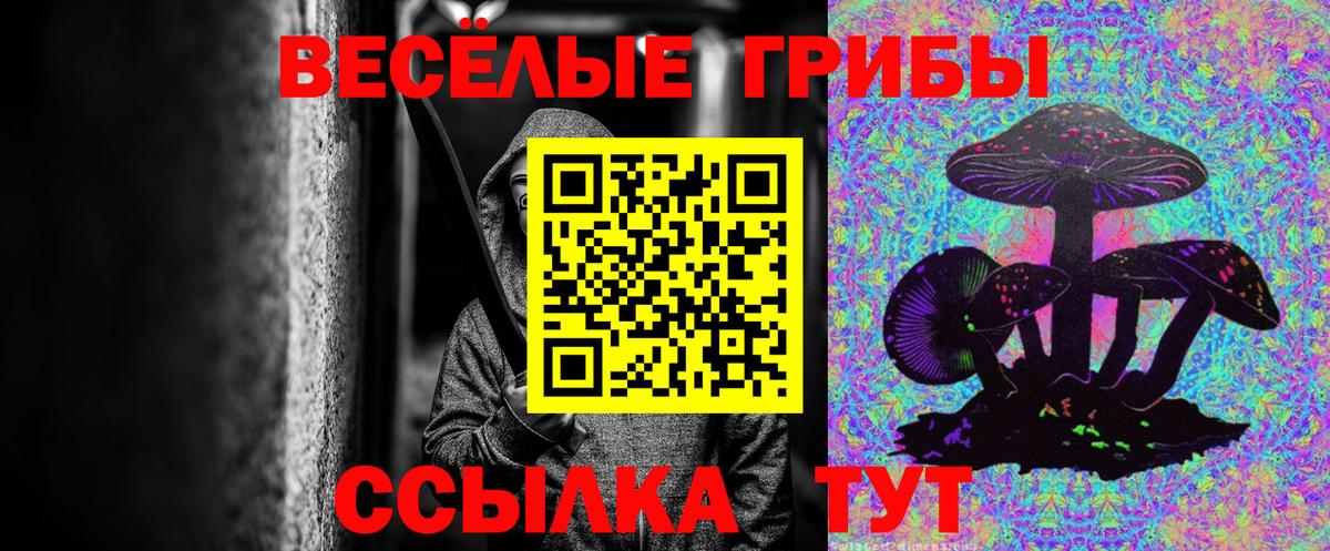 Псилоцибиновые грибы Psilocybine cubensis  Вход с VPN  Галлюциногенные грибы прущие грибы  Видное 