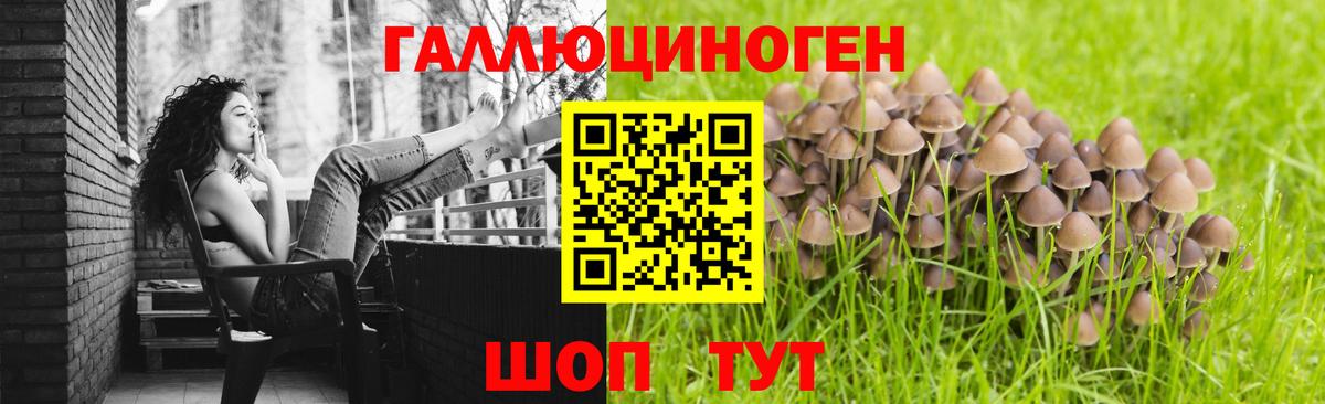 Галлюциногенные грибы прущие грибы Видное